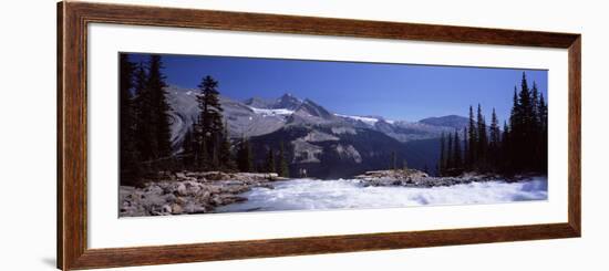 Waterfall in Forest, Twin Falls, Mt Balfour, Yoho Valley, Yoho National Park, Canada-null-Framed Photographic Print