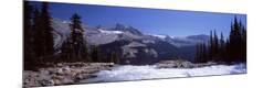 Photographic Print