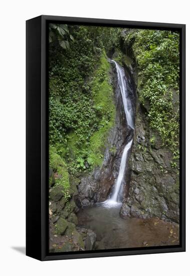 Waterfall in Mistico Hanging Bridges Park, Costa Rica.-Michele Niles-Framed Premier Image Canvas