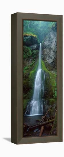 Waterfall in Olympic National Rainforest-null-Framed Stretched Canvas