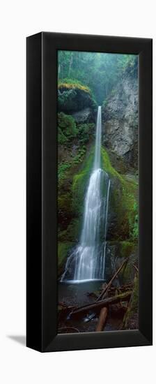 Waterfall in Olympic National Rainforest-null-Framed Stretched Canvas