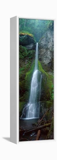 Waterfall in Olympic National Rainforest-null-Framed Stretched Canvas