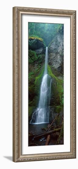 Waterfall in Olympic National Rainforest-null-Framed Photographic Print