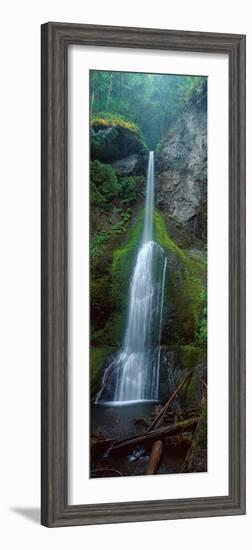 Waterfall in Olympic National Rainforest-null-Framed Photographic Print