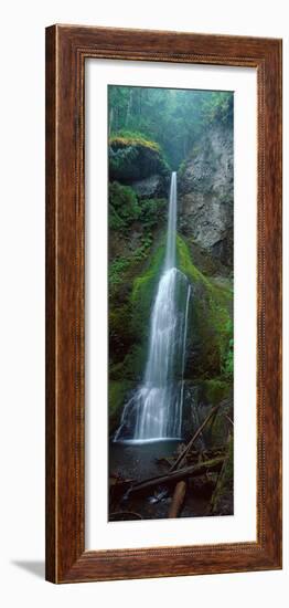 Waterfall in Olympic National Rainforest-null-Framed Photographic Print