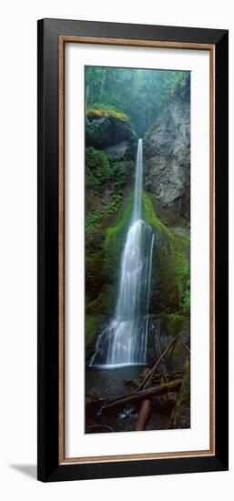 Waterfall in Olympic National Rainforest-null-Framed Photographic Print