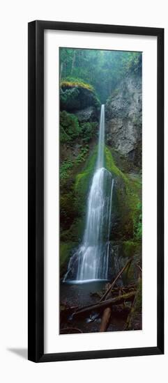 Waterfall in Olympic National Rainforest-null-Framed Photographic Print