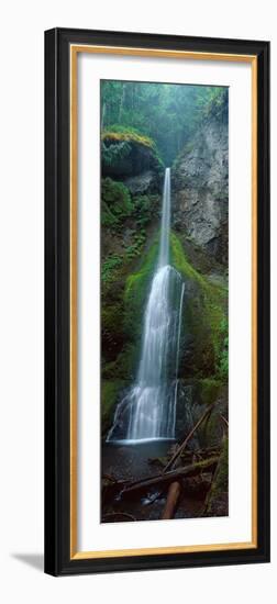 Waterfall in Olympic National Rainforest-null-Framed Photographic Print