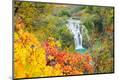 Premium Photographic Print