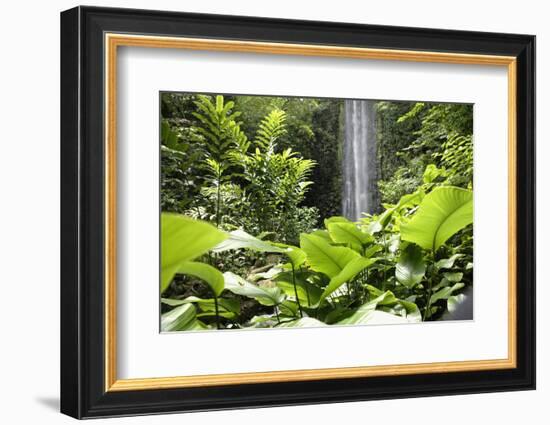 Waterfall in Rain Forest, Jurong Bird Park, Singapore-Angelo Cavalli-Framed Photographic Print