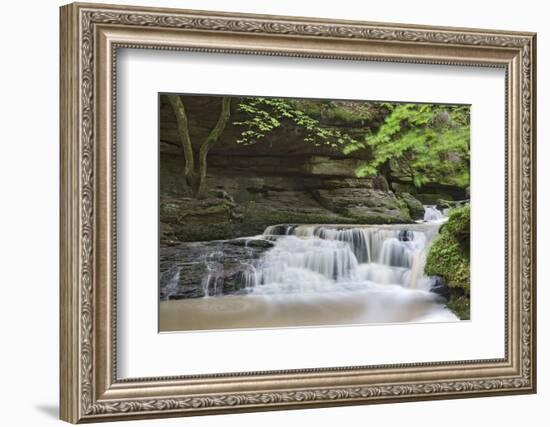 Waterfall in the Monbachtal, Black Forest, Baden-Wurttemberg, Germany-Markus Lange-Framed Photographic Print