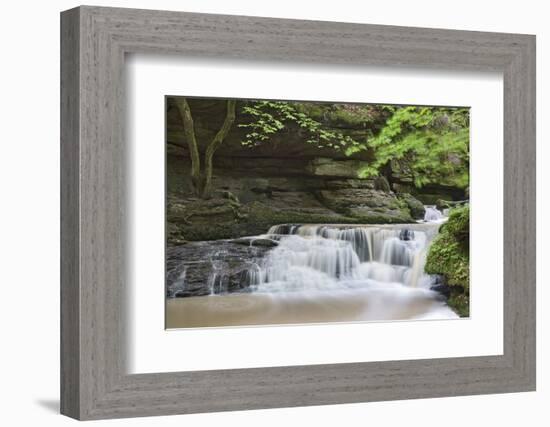 Waterfall in the Monbachtal, Black Forest, Baden-Wurttemberg, Germany-Markus Lange-Framed Photographic Print