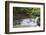 Waterfall in the Monbachtal, Black Forest, Baden-Wurttemberg, Germany-Markus Lange-Framed Photographic Print