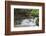 Waterfall in the Monbachtal, Black Forest, Baden-Wurttemberg, Germany-Markus Lange-Framed Photographic Print