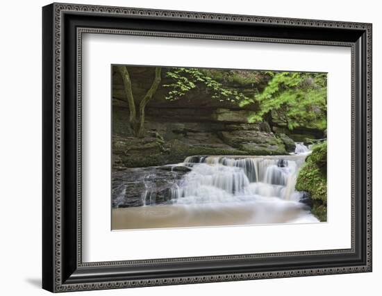 Waterfall in the Monbachtal, Black Forest, Baden-Wurttemberg, Germany-Markus Lange-Framed Photographic Print