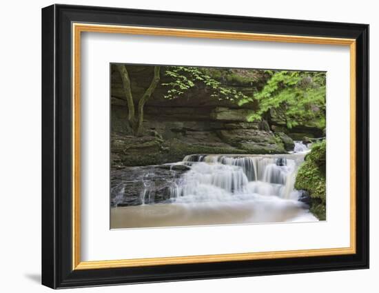 Waterfall in the Monbachtal, Black Forest, Baden-Wurttemberg, Germany-Markus Lange-Framed Photographic Print