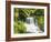 Waterfall in Willamette National Forest, Oregon, USA-Stuart Westmoreland-Framed Photographic Print