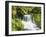 Waterfall in Willamette National Forest, Oregon, USA-Stuart Westmoreland-Framed Photographic Print