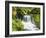 Waterfall in Willamette National Forest, Oregon, USA-Stuart Westmoreland-Framed Photographic Print