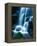 Waterfall in Yosemite National Park-Bill Ross-Framed Premier Image Canvas