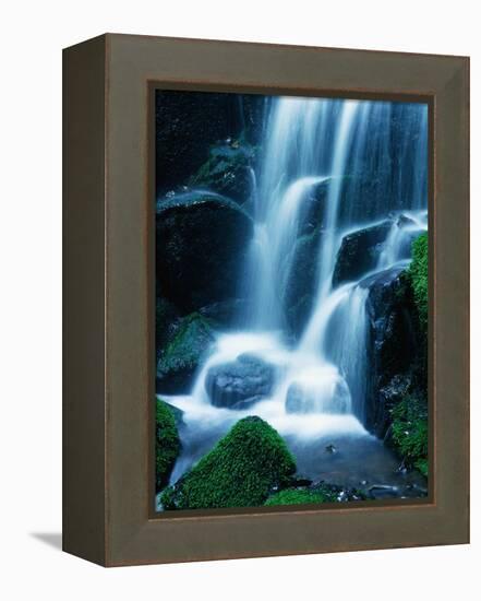 Waterfall in Yosemite National Park-Bill Ross-Framed Premier Image Canvas