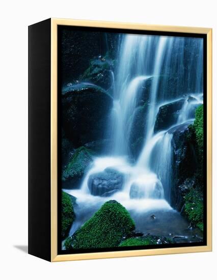 Waterfall in Yosemite National Park-Bill Ross-Framed Premier Image Canvas