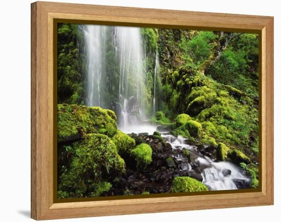 Waterfall, Mt Hood National Forest, Columbia Gorge Scenic Area, Oregon, USA-Stuart Westmorland-Framed Premier Image Canvas