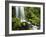 Waterfall, Mt Hood National Forest, Columbia Gorge Scenic Area, Oregon, USA-Stuart Westmorland-Framed Photographic Print