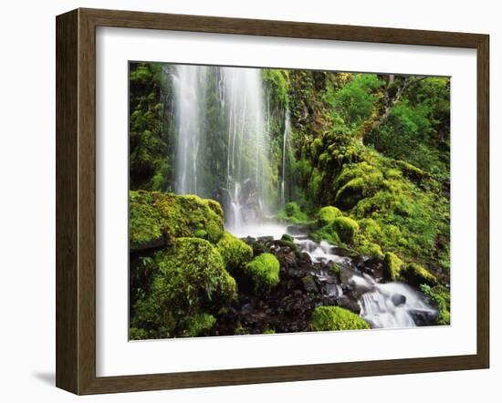 Waterfall, Mt Hood National Forest, Columbia Gorge Scenic Area, Oregon, USA-Stuart Westmorland-Framed Photographic Print