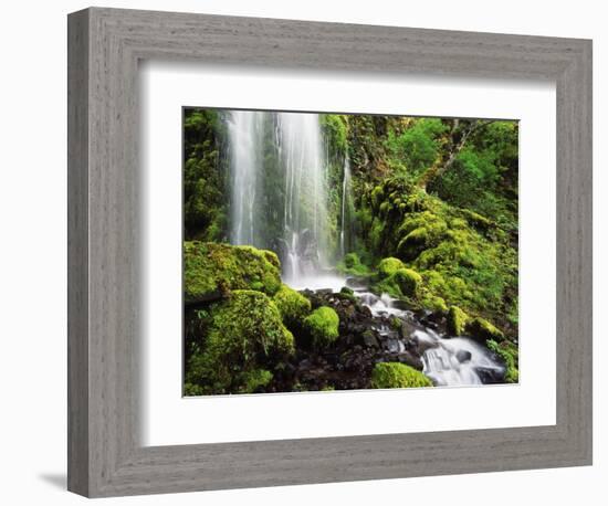 Waterfall, Mt Hood National Forest, Columbia Gorge Scenic Area, Oregon, USA-Stuart Westmorland-Framed Photographic Print