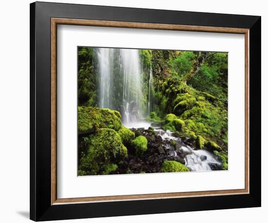 Waterfall, Mt Hood National Forest, Columbia Gorge Scenic Area, Oregon, USA-Stuart Westmorland-Framed Photographic Print