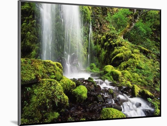 Waterfall, Mt Hood National Forest, Columbia Gorge Scenic Area, Oregon, USA-Stuart Westmorland-Mounted Photographic Print