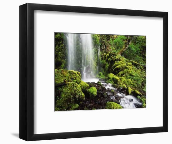 Waterfall, Mt Hood National Forest, Columbia Gorge Scenic Area, Oregon, USA-Stuart Westmorland-Framed Photographic Print
