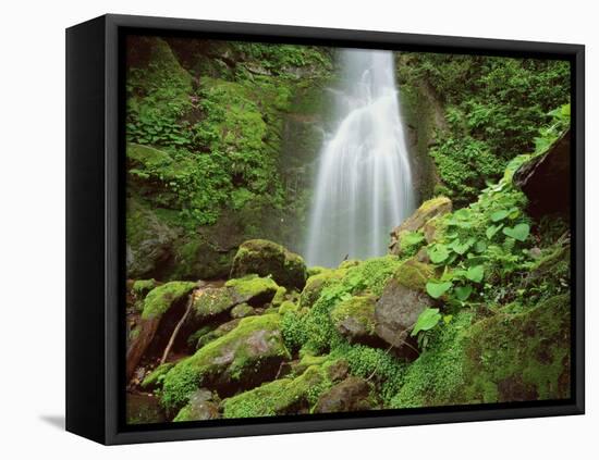 Waterfall, Mtirala National Park, Georgia, May 2008-Popp-Framed Premier Image Canvas