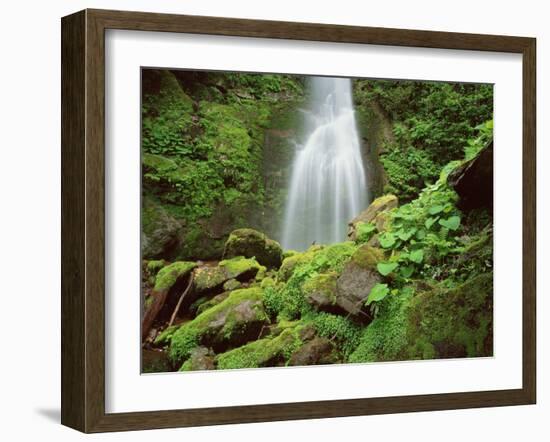 Waterfall, Mtirala National Park, Georgia, May 2008-Popp-Framed Photographic Print