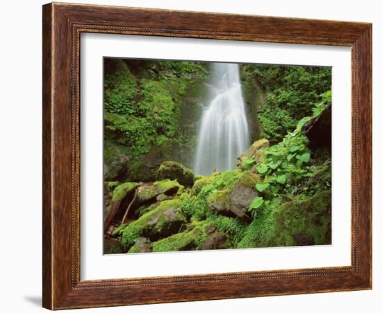 Waterfall, Mtirala National Park, Georgia, May 2008-Popp-Framed Photographic Print