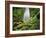 Waterfall, Mtirala National Park, Georgia, May 2008-Popp-Framed Photographic Print