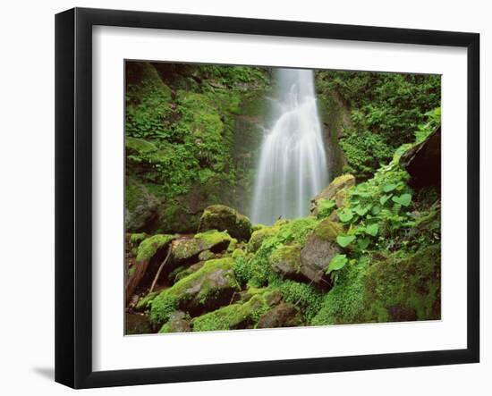 Waterfall, Mtirala National Park, Georgia, May 2008-Popp-Framed Photographic Print
