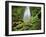 Waterfall, Mtirala National Park, Georgia, May 2008-Popp-Framed Photographic Print