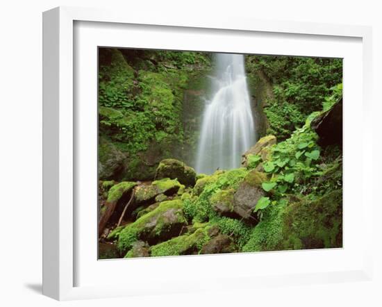 Waterfall, Mtirala National Park, Georgia, May 2008-Popp-Framed Photographic Print