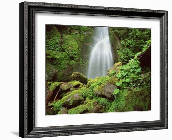 Waterfall, Mtirala National Park, Georgia, May 2008-Popp-Framed Photographic Print