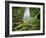 Waterfall, Mtirala National Park, Georgia, May 2008-Popp-Framed Photographic Print