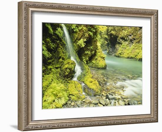 Waterfall Near Graves Creek, Olympic National Park, Washington, USA-Stuart Westmoreland-Framed Photographic Print