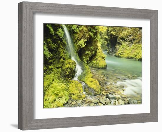 Waterfall Near Graves Creek, Olympic National Park, Washington, USA-Stuart Westmoreland-Framed Photographic Print