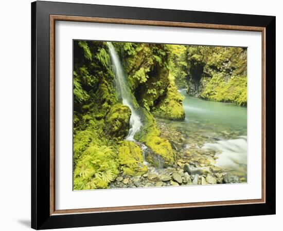 Waterfall Near Graves Creek, Olympic National Park, Washington, USA-Stuart Westmoreland-Framed Photographic Print