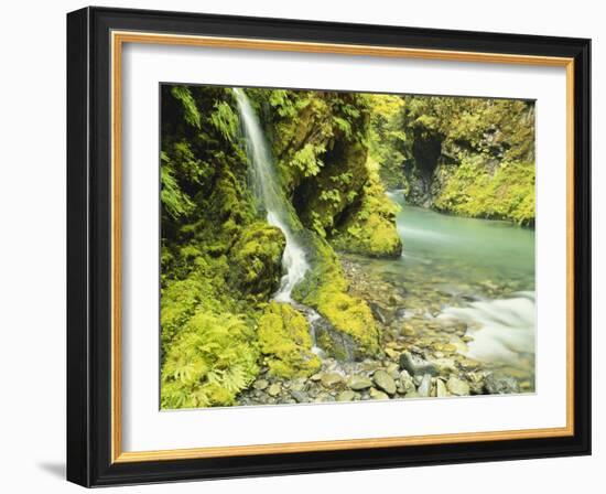 Waterfall Near Graves Creek, Olympic National Park, Washington, USA-Stuart Westmoreland-Framed Photographic Print