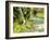 Waterfall Near Graves Creek, Olympic National Park, Washington, USA-Stuart Westmoreland-Framed Photographic Print