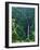 Waterfall near Poas Volcano, Poas Volcano National Park, Costa Rica-Charles Sleicher-Framed Photographic Print