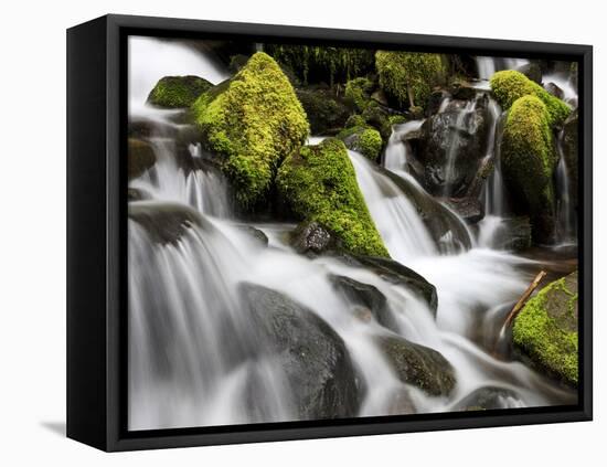 Waterfall, Olympic National Park, Washington, USA-Tom Norring-Framed Premier Image Canvas