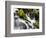 Waterfall, Olympic National Park, Washington, USA-Tom Norring-Framed Photographic Print